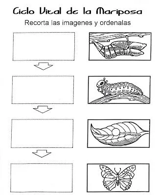 RECURSOS EDUCACION INFANTIL: Actividades para trabajar los CICLOS ...