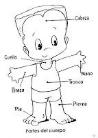 RECURSOS EDUCACION INFANTIL: Vocabulario: PARTES DEL CUERPO