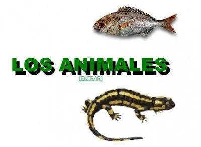 recursos educativos 3ciclo-isanaji: LOS ANIMALES