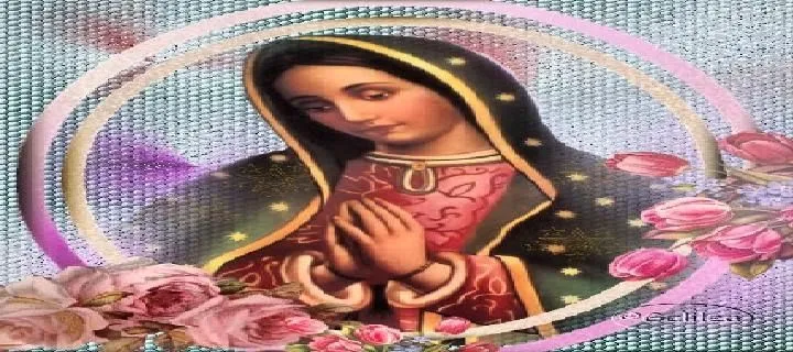 RECURSOS PARA TU FACEBOOK: Portadas de la Virgen de Guadalupe