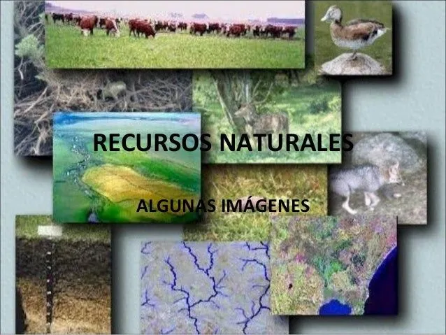 Recursos naturales (