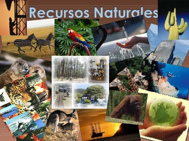 Recursos Naturales