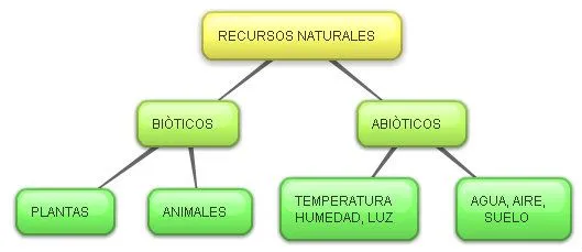 RECURSOS NATURALES