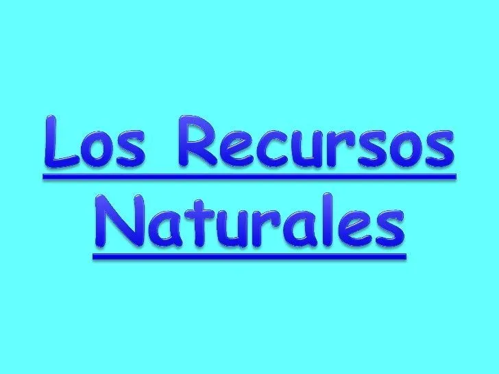 5 LOS RECURSOS NATURALES