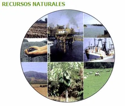 recursos naturales