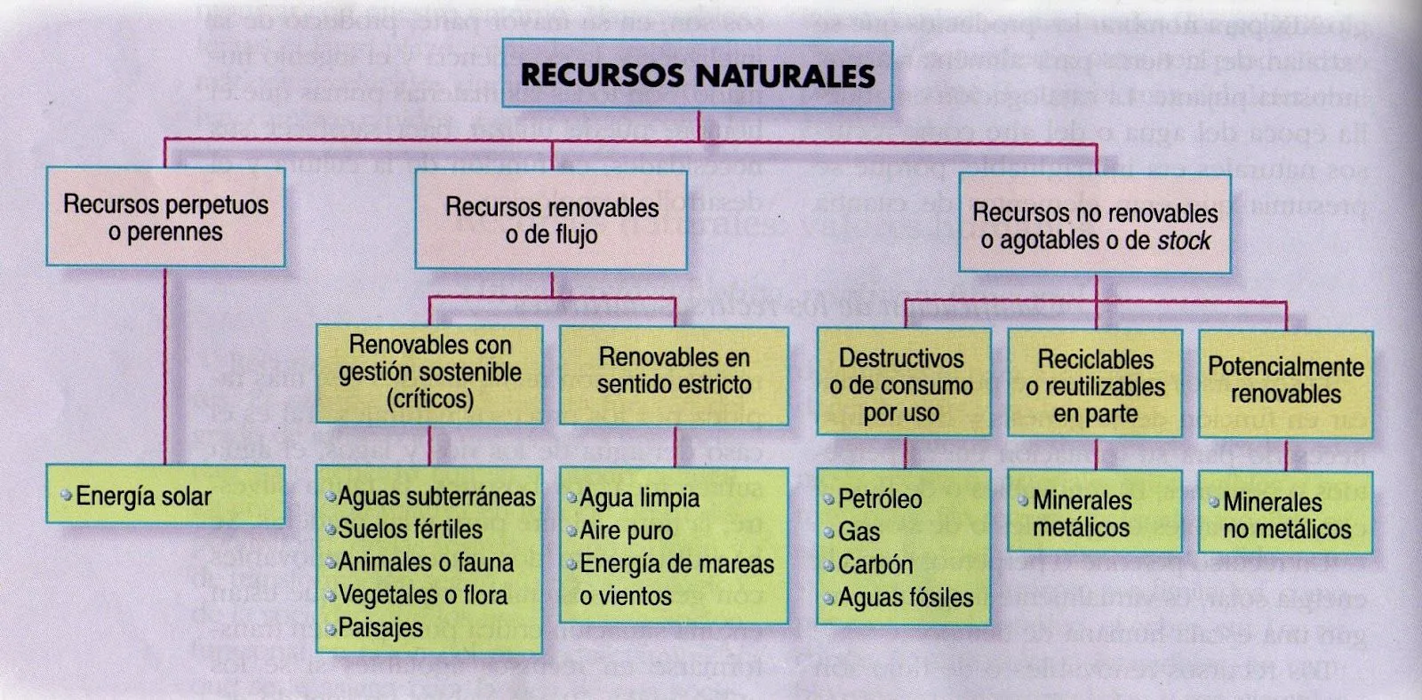 LOS RECURSOS NATURALES | GEOGRAFÍA ECONÓMICA II