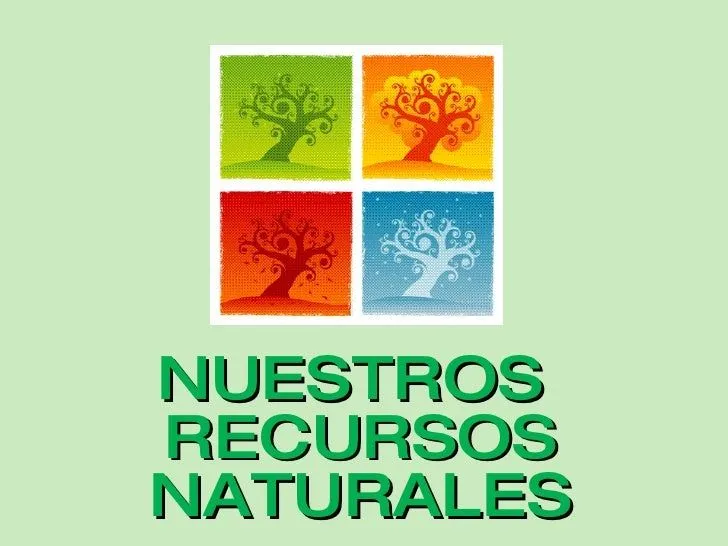 Nuestros Recursos Naturales Proyecto