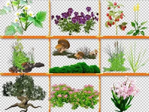 Recursos Photoshop Llanpac: Coleccion de clipart de plantas y ...