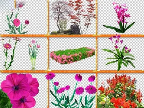 Recursos Photoshop Llanpac: Coleccion de clipart de plantas y ...