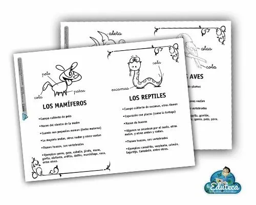 Azuloides del Tierno Galván: Clasificación de los animales
