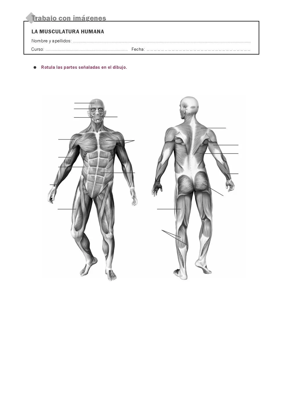 RECURSOS PRIMARIA | Láminas mudas del cuerpo humano ~ La Eduteca