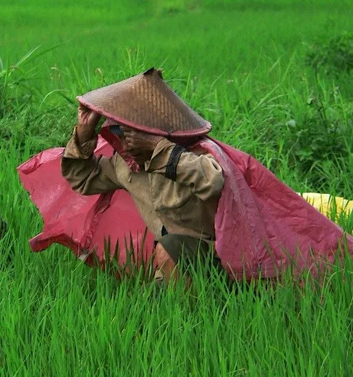 Red and Green near Ruteng, Flores Indonesia | Flickr - Photo Sharing!