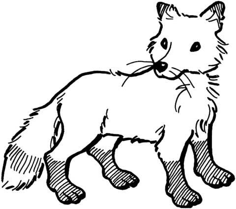 Red Fox coloring pages | Super Coloring