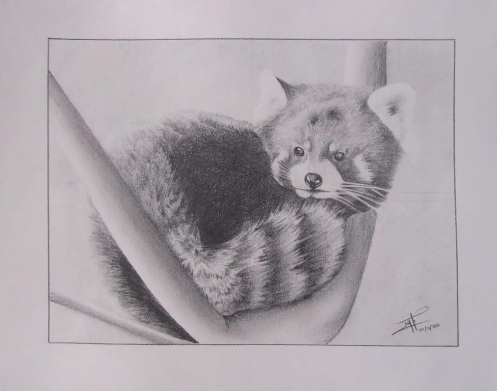 RED PANDA Inti Amaury García Ibarra - Artelista.