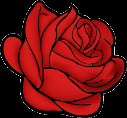 Red Rose Vector Ai Free Graphics Download Pictures