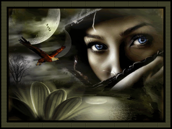 Red de sueños hadas elfas con brillos y en movimientos nuevas - Imagui