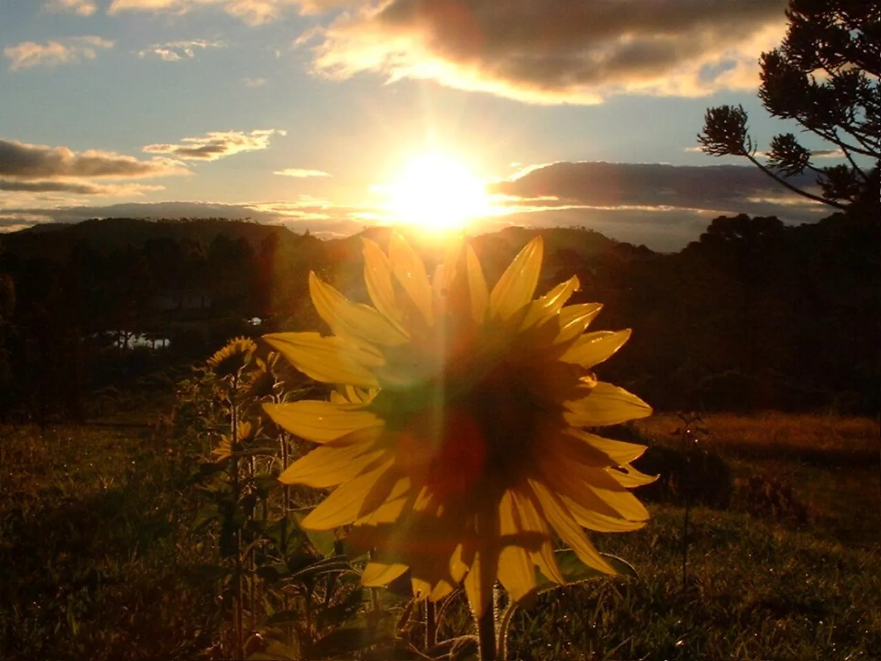 Reflexão e Confusão: HOJE O DIA ESTÁ LINDO!