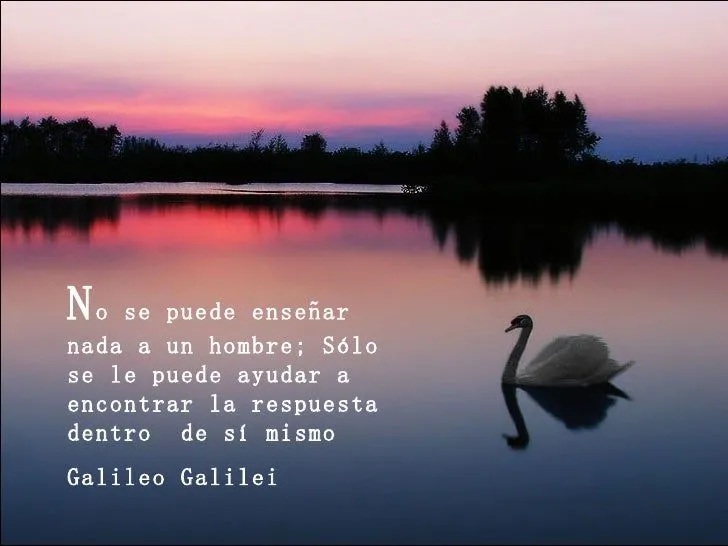 Reflexion-