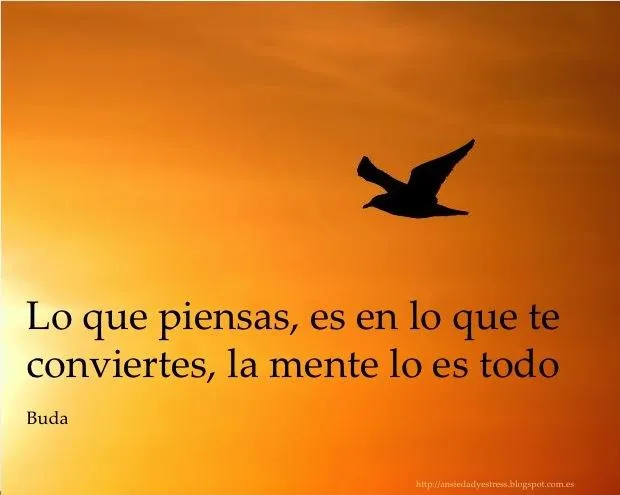 Reflexión del día para ansiedad y estrés - Paperblog