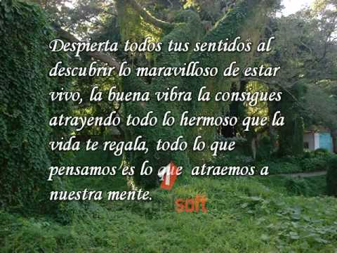 REFLEXION EL HOMBRE Y LA NATURALEZA - YouTube