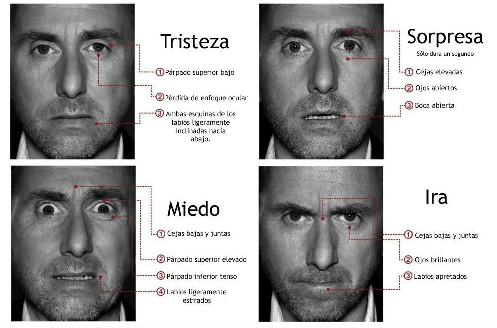 REFLEXIONA CON TU COACHE: MICROEXPRESIONES-