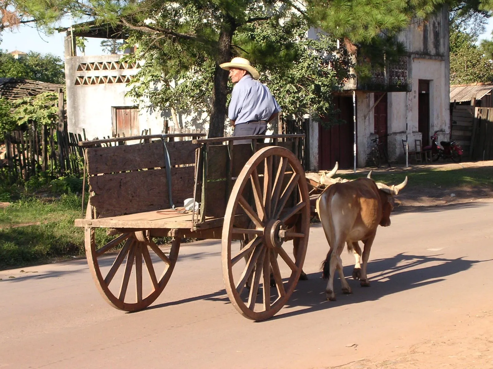 Reflexiones con Farvelo: La Carreta vacia