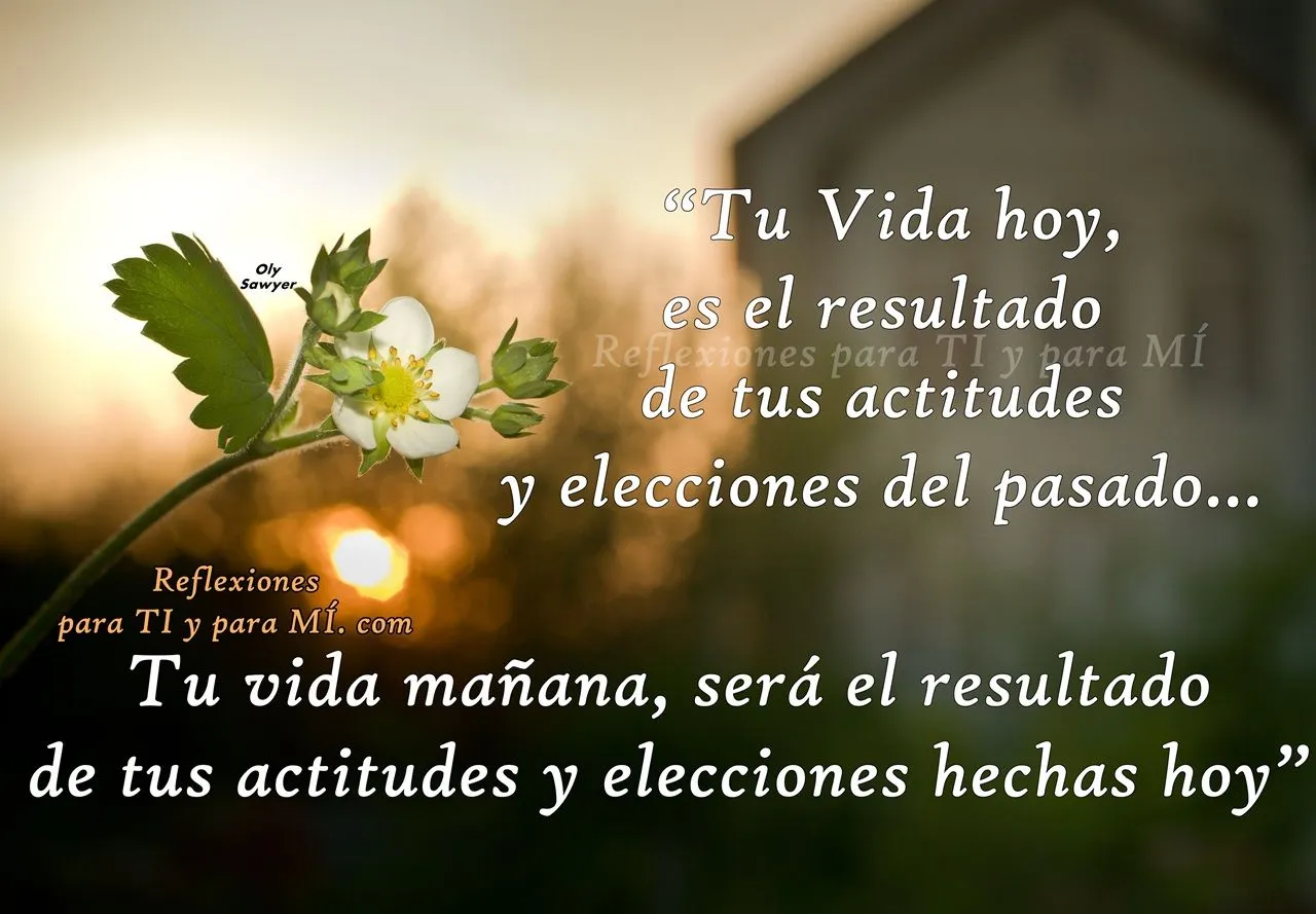 Reflexiones para TI y para MÍ: + EL CARPINTERO Y LA VIDA ...