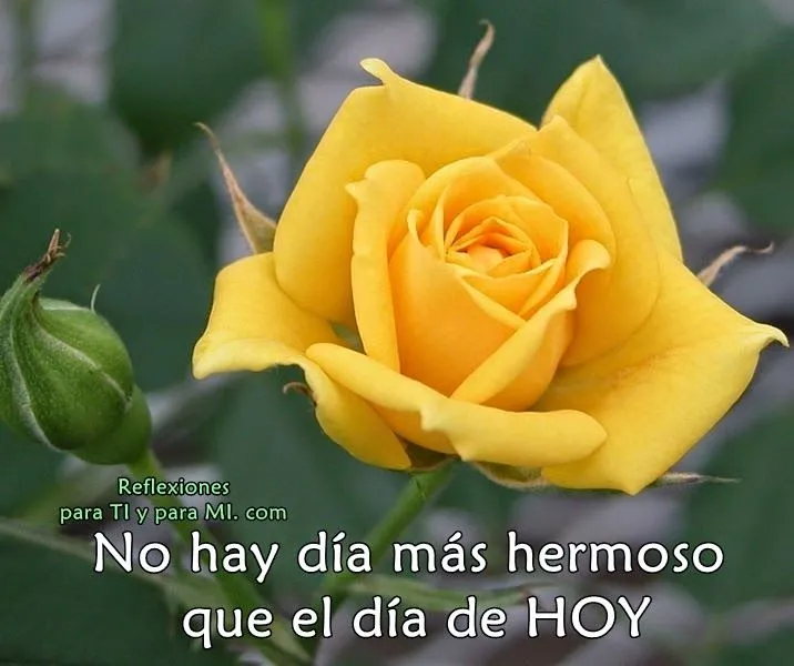 Reflexiones para TI y para MÍ: * No hay día más hermoso que el día ...