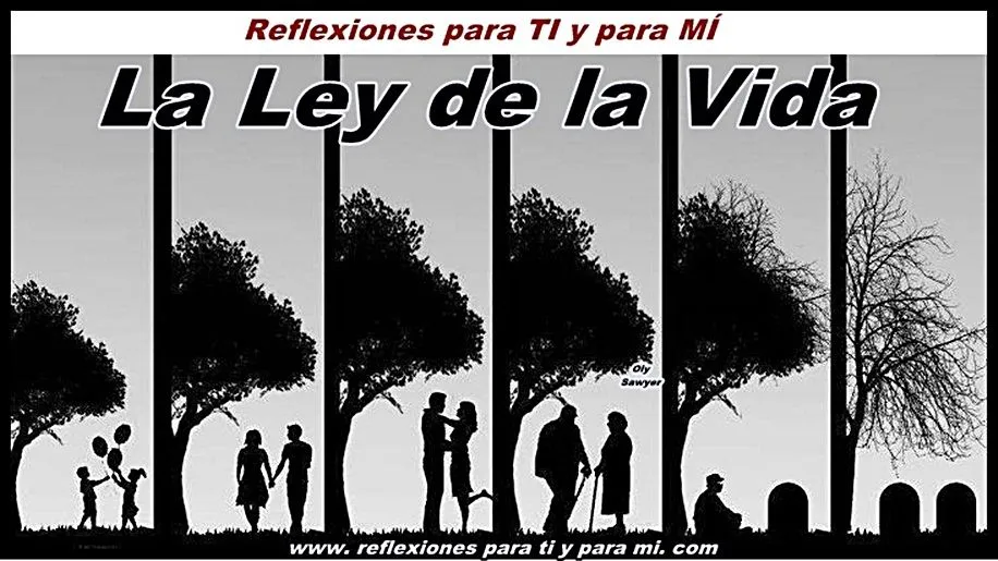 Reflexiones para TI y para MÍ: * La Ley de la Vida