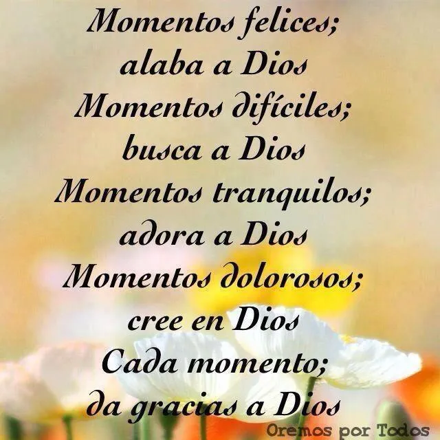 Reflexiones para TI y para MÍ: * Momentos felices: ALABA A DIOS ...