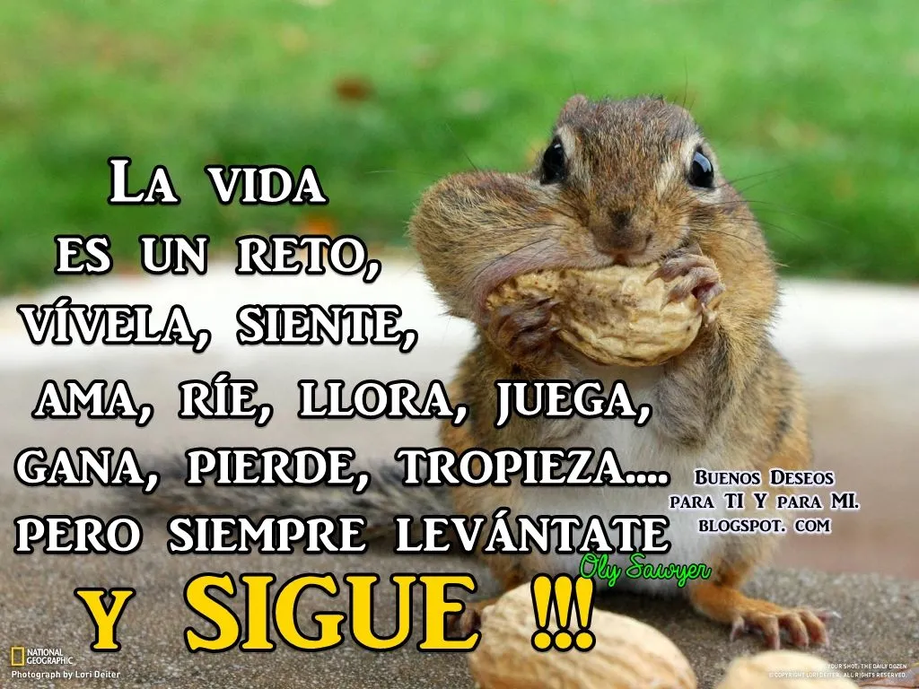 Reflexiones para TI y para MÍ: * LA VIDA es un reto...