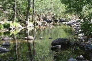 reflexiones de la naturaleza, la belleza | Descargar Fotos gratis