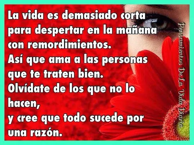 reflexiones de la vida diaria videos - IMG MLP