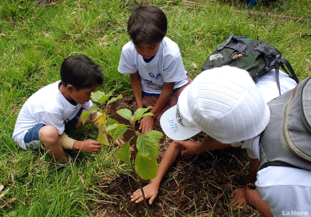 reforestacion_lidere.jpg