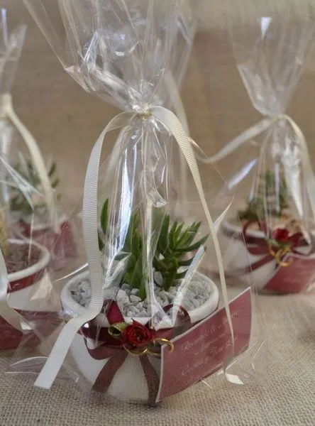 Regalos ecológicos Cactus Maipú: julio 2013