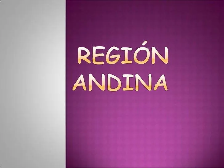 Region andina