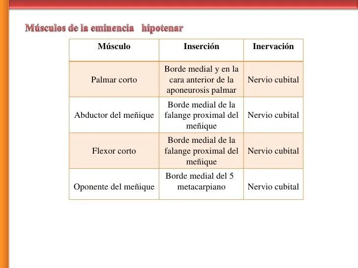 Region de la mano Huesos y Musculos