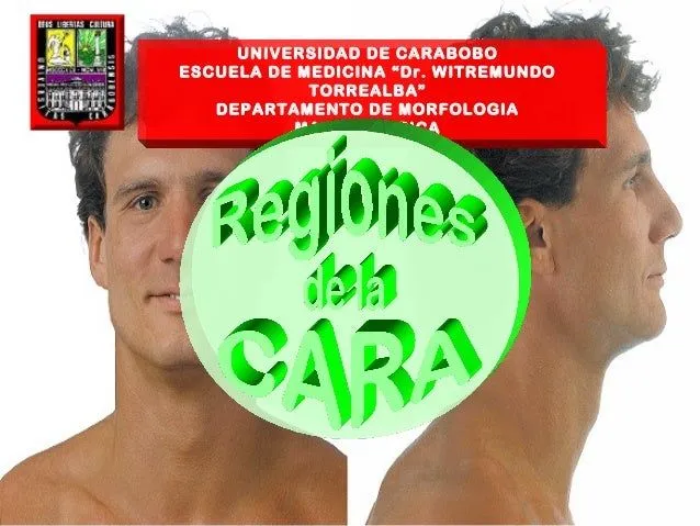 Regiones de la cara