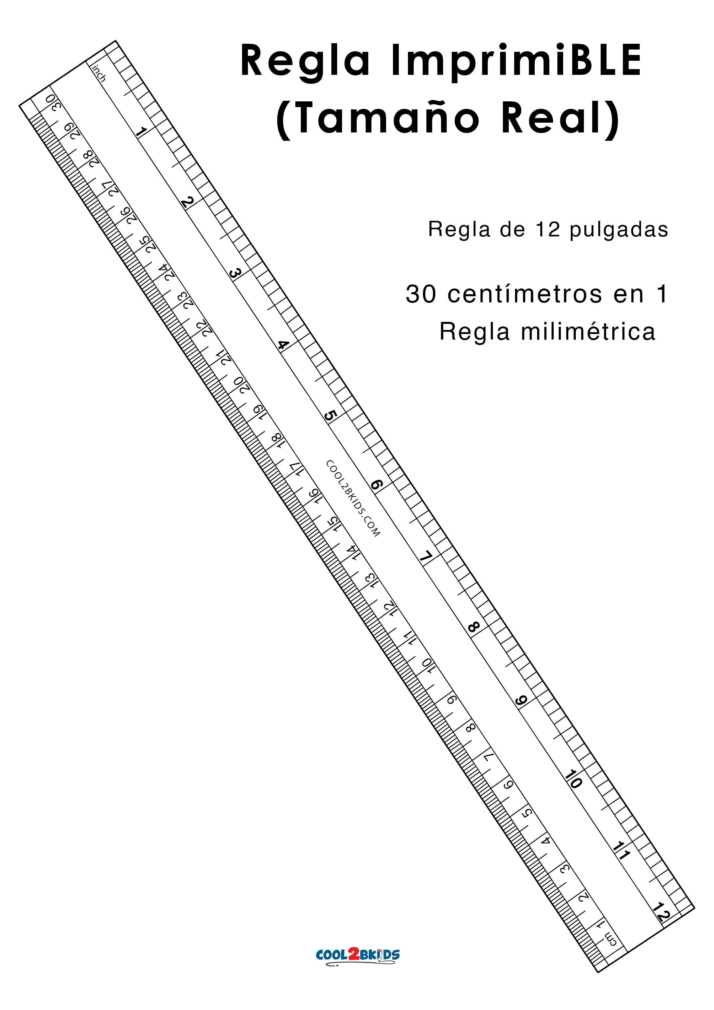 Regla Para Imprimir de 12 pulgadas - Cool2bKids