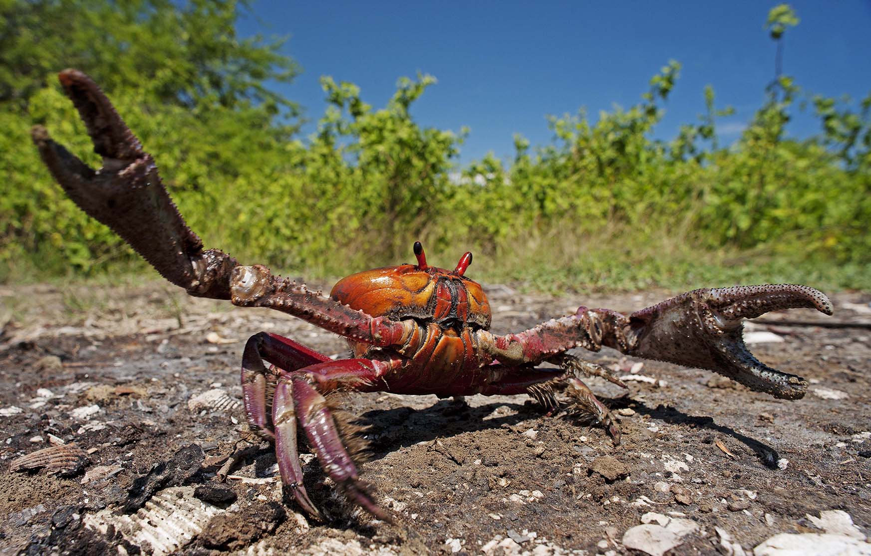 Reglamento de extracción de mariscos: principales puntos de la propuesta de  Produce | SPDA Actualidad Ambiental