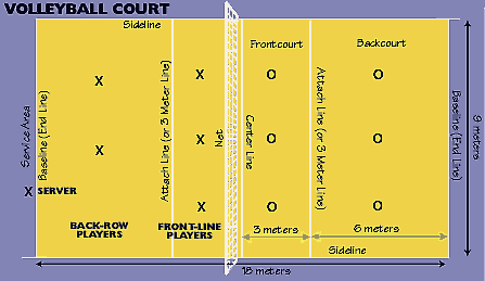 Reglas Oficiales del Voleibol d