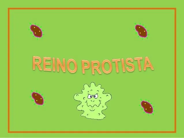 REINO PROTISTA