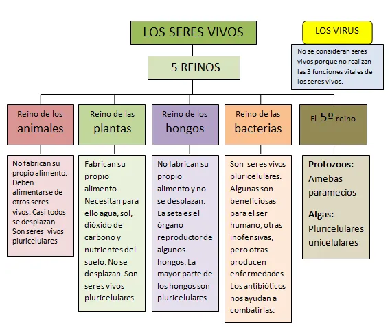 LOS 5 REINOS | El Blog de Tercer Ciclo