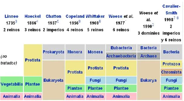 Los reinos de la vida (página 2) - Monografias.com