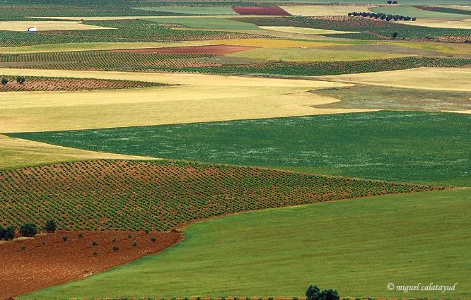 Relaja tu mente con estos paisajes [Arte] - Taringa!