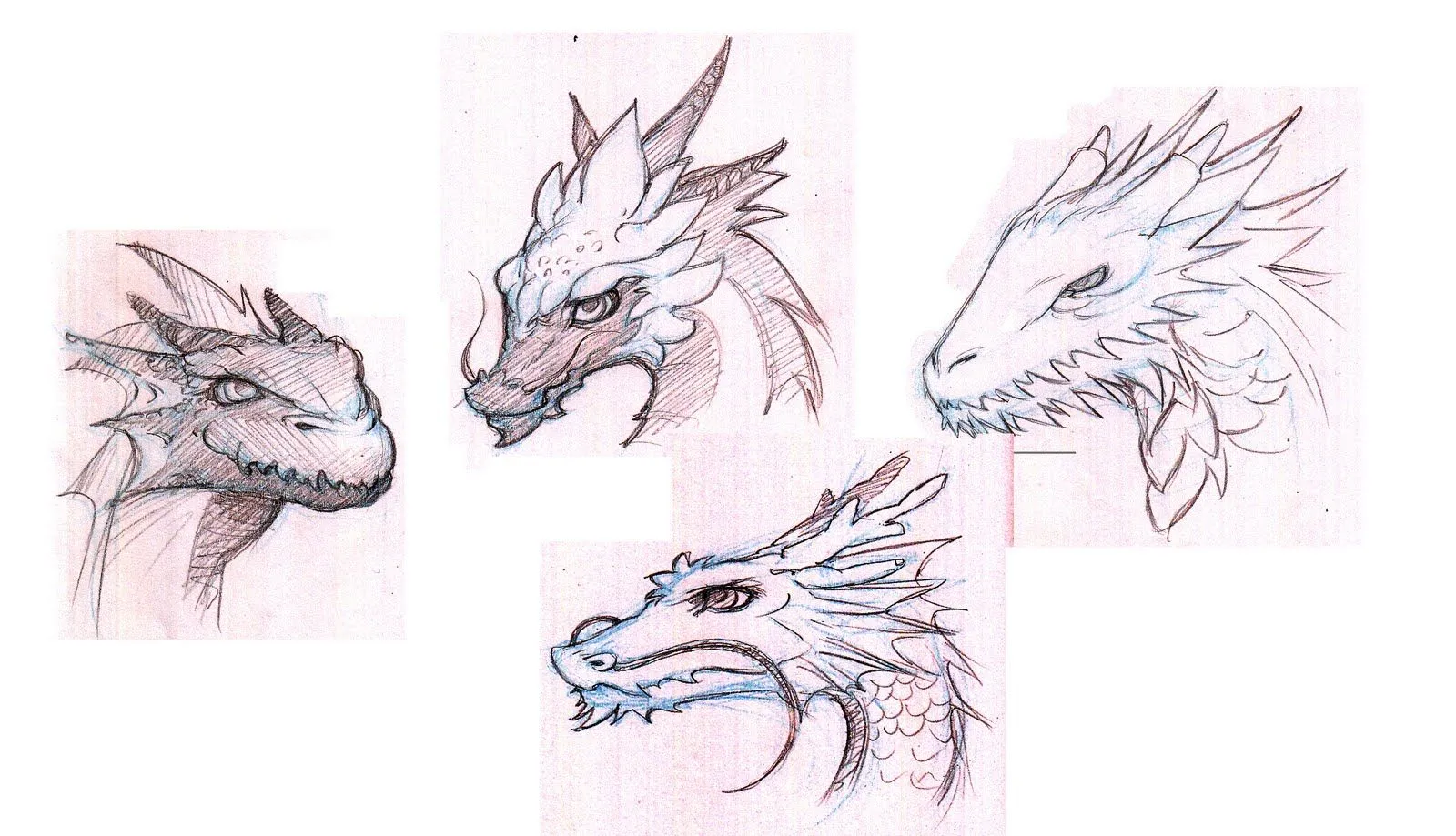 dragones mitologicos para pintar