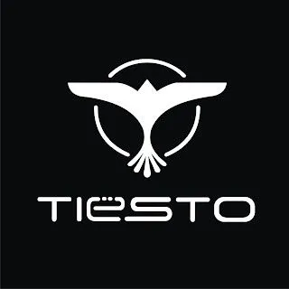 Remera Tiesto Dj....