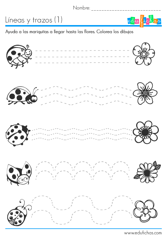 repasar líneas fáciles | Lepkék,méhek,bogarak / Butterflies,bees ...