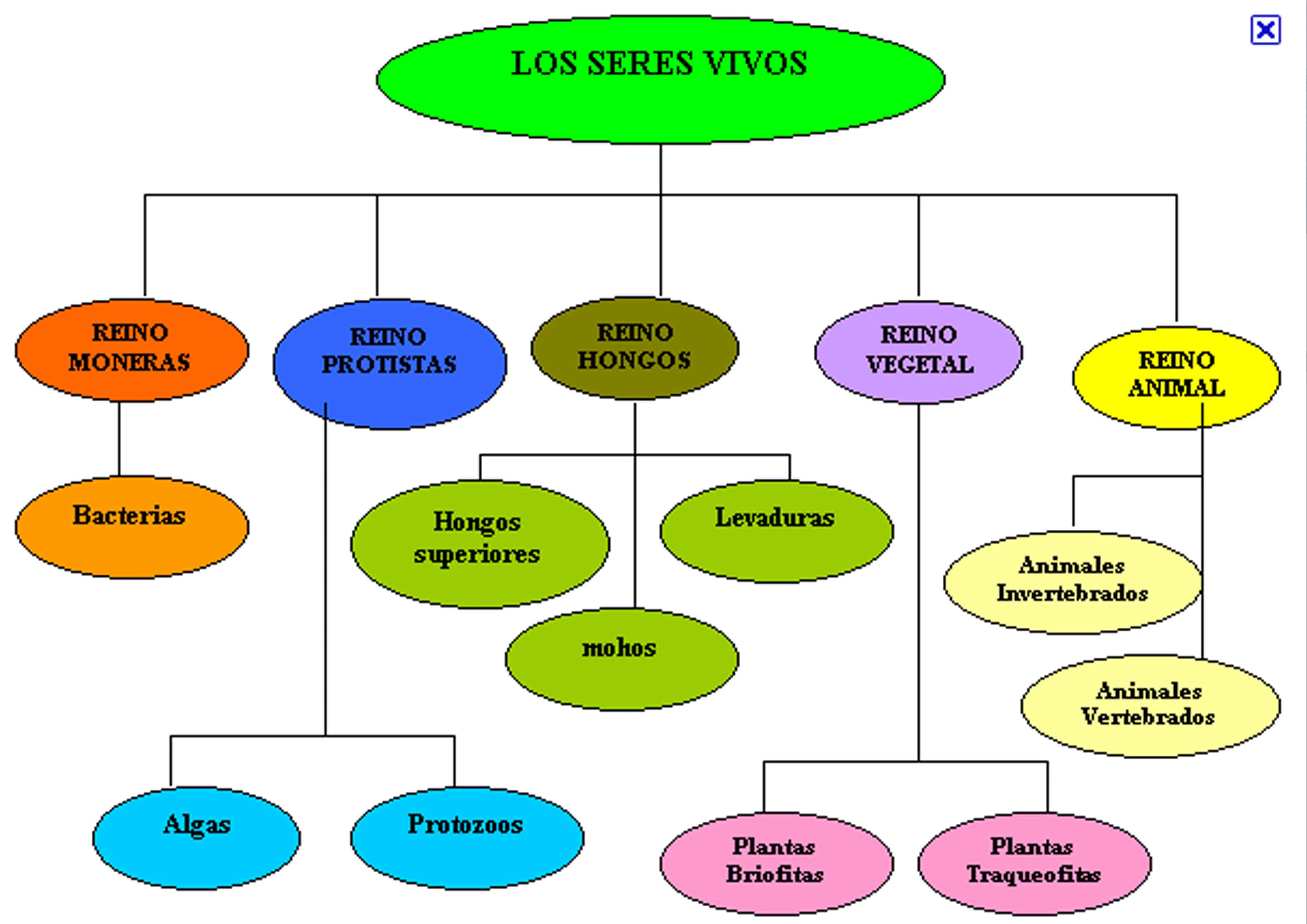 REPASO TEMA 1: LOS SERES VIVOS | martinhues45