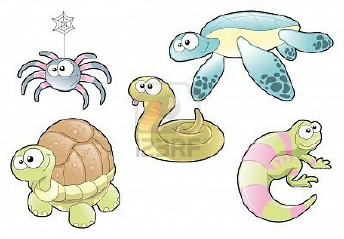 5609812-reptiles-y-spider-de-la-familia-personajes-de-dibujos ...